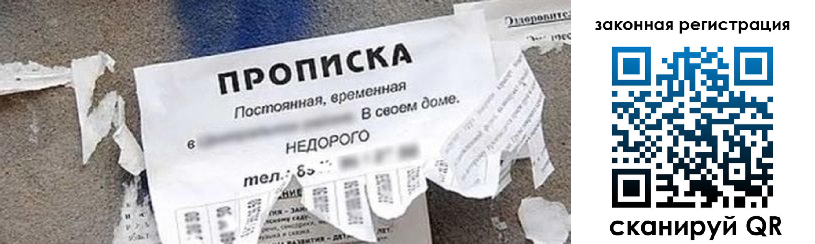 временная регистрация надежно в Таре